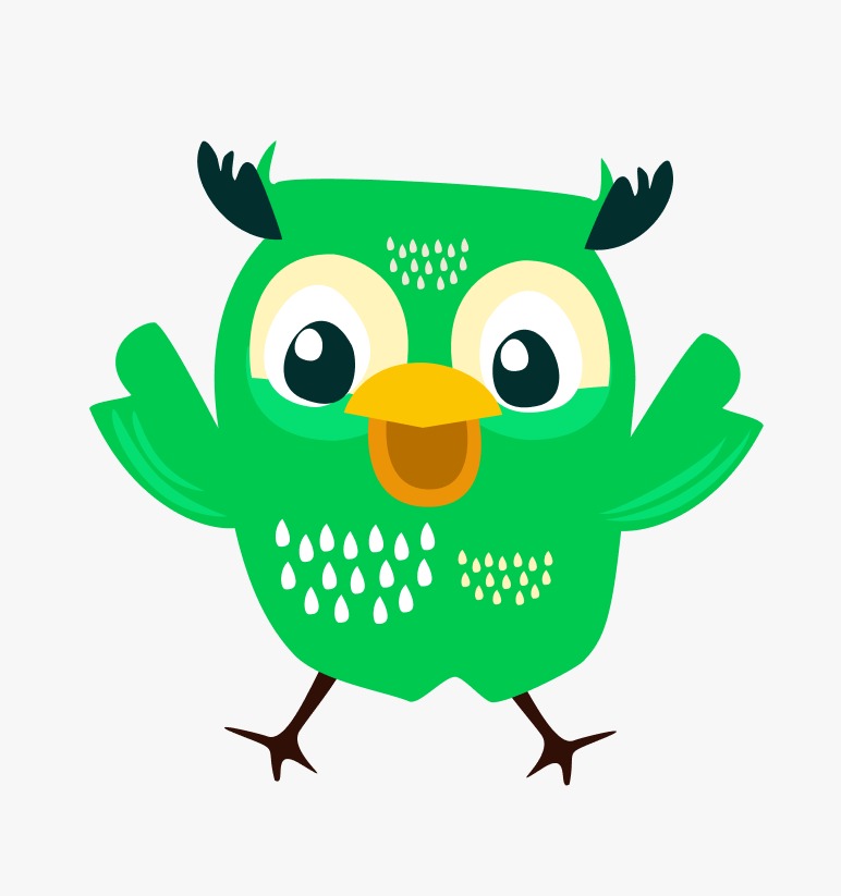 LoudOwls Solutions Private Limited